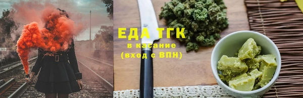 дживик Инта