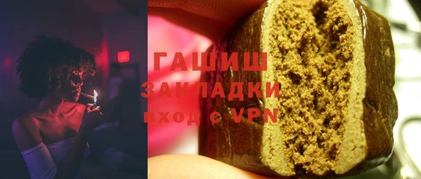 дживик Инта