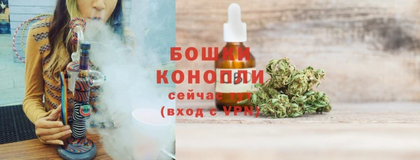 дживик Инта