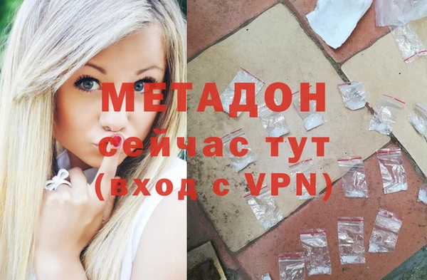дживик Инта