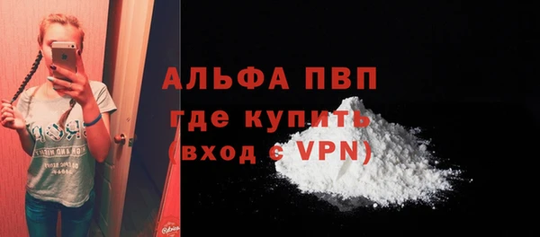 дживик Инта