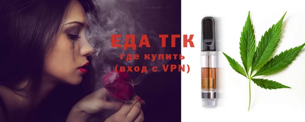 дживик Инта