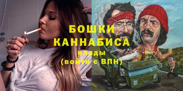 дживик Инта