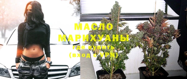 дживик Инта