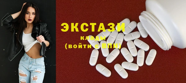 дживик Инта