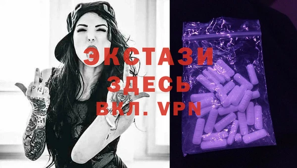 дживик Инта