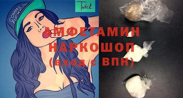 дживик Инта