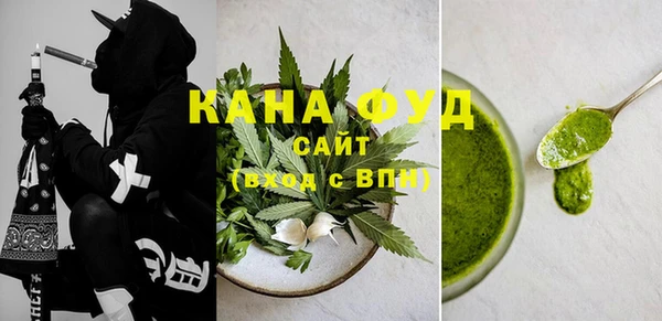 дживик Инта