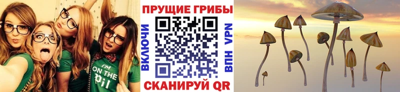 Галлюциногенные грибы Magic Shrooms Купить закладки Новое Девяткино